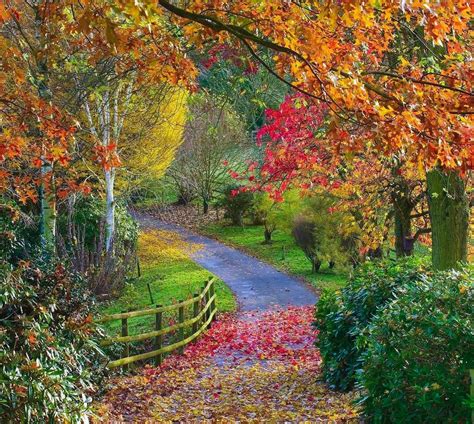 The spellbinding beauty of autumn in Johnny Green's garden